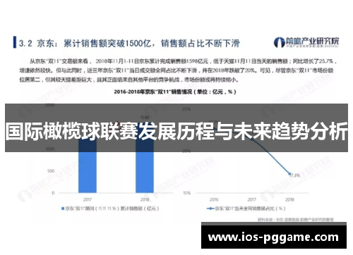 国际橄榄球联赛发展历程与未来趋势分析