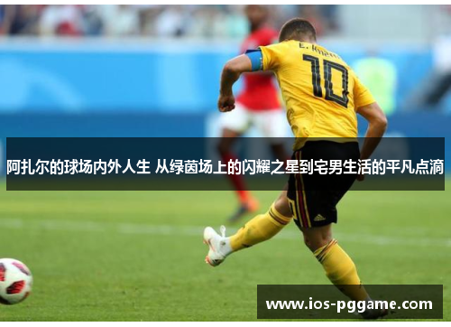 阿扎尔的球场内外人生 从绿茵场上的闪耀之星到宅男生活的平凡点滴