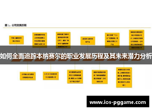 如何全面追踪本纳赛尔的职业发展历程及其未来潜力分析