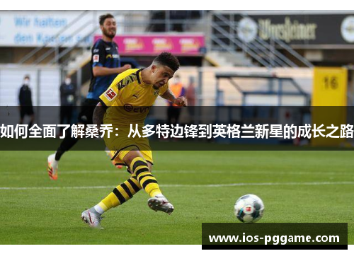 如何全面了解桑乔：从多特边锋到英格兰新星的成长之路