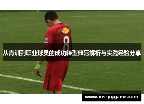 从青训到职业球员的成功转型典范解析与实践经验分享