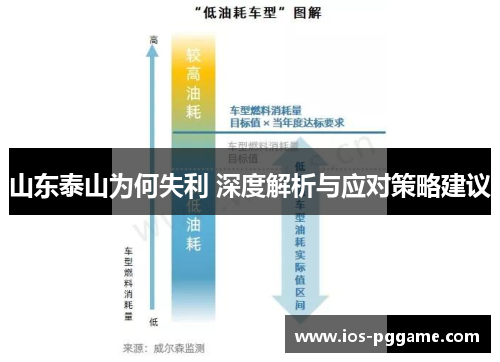 山东泰山为何失利 深度解析与应对策略建议