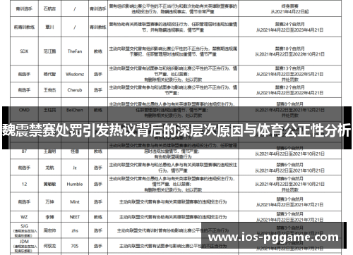 魏震禁赛处罚引发热议背后的深层次原因与体育公正性分析